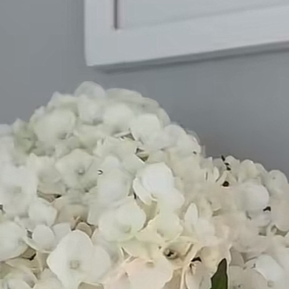 olivialjarvis1